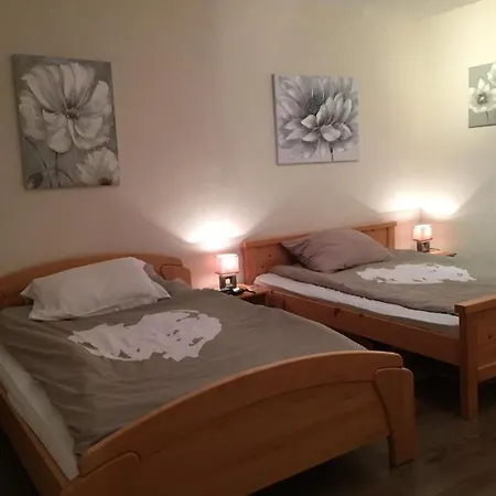 Prázdninový dům Gozd Martuljek Waterfalls Holiday Chalet *